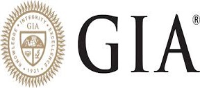 New Israeli CEO to GIA Israel